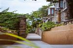 Yaan Wellness Retreat Udaipur thumbnail photographs